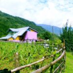 Darap Village