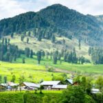 Aru Valley