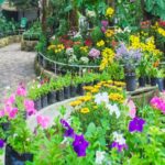 Flower Show