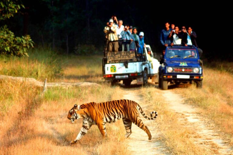 Uttarakhand Luxury Tour Package