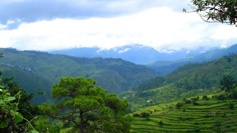 Ranikhet Kausani Binsar Luxury Tour