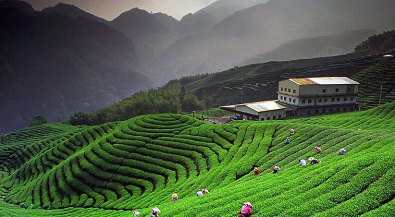 Top 10 Places to Visit in Kausani