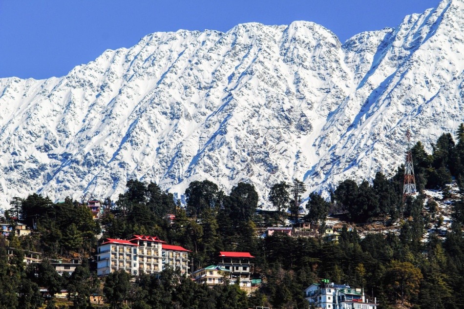 Luxury Dharamshala Dalhousie Honeymoon Package