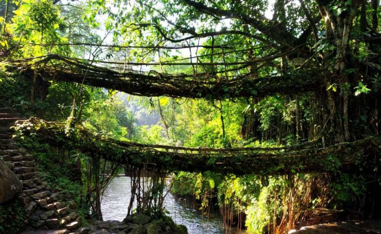 Meghalaya Honeymoon Package