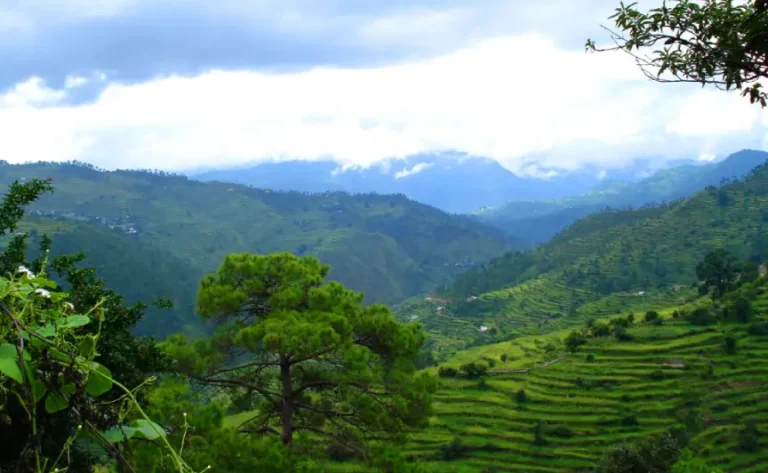 Nainital Ranikhet Tour Package