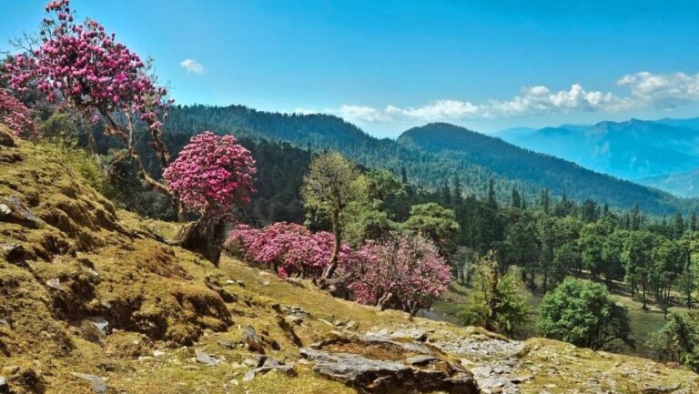 Ranikhet Nainital Almora Binsar Tour Package