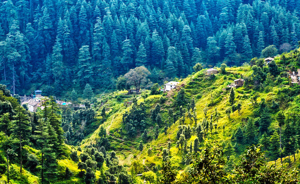 Ranikhet Premium Tour