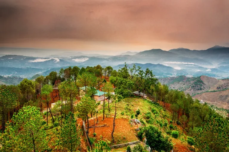 Top 10 Places to Visit in Ranikhet for First-Time Travellers