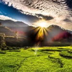 How to Reach Kausani from Delhi