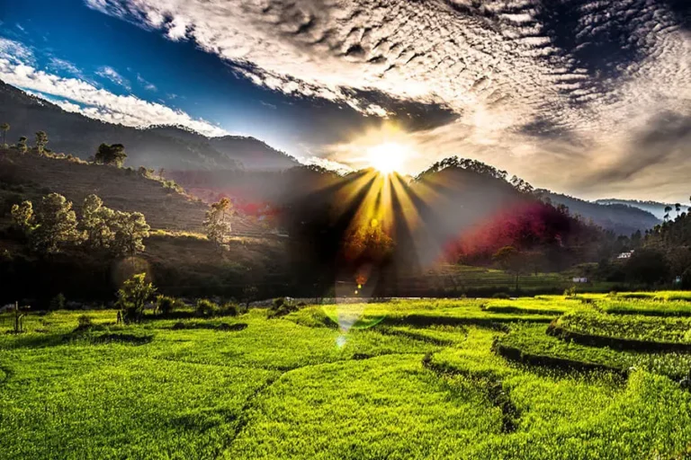 How to Reach Kausani from Delhi